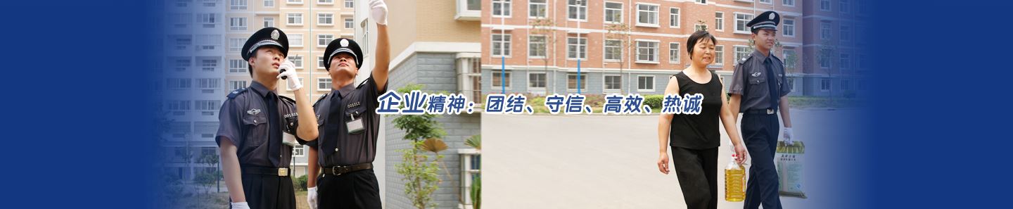 芯智景